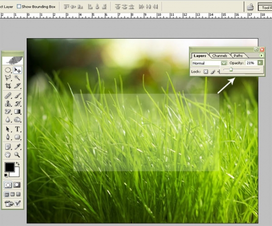 Glossy Grass Login Panel